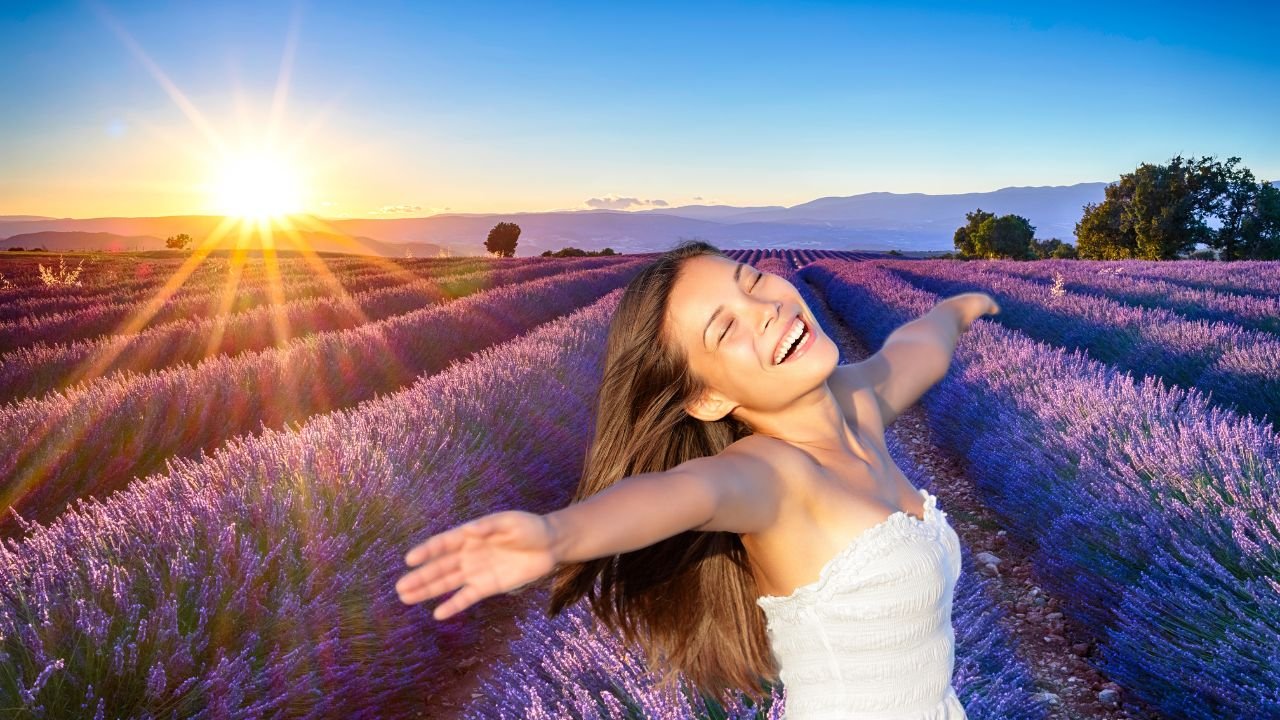 Conheça o Trem da Lavanda 2025 os Campos Mais Lindos da Espanha