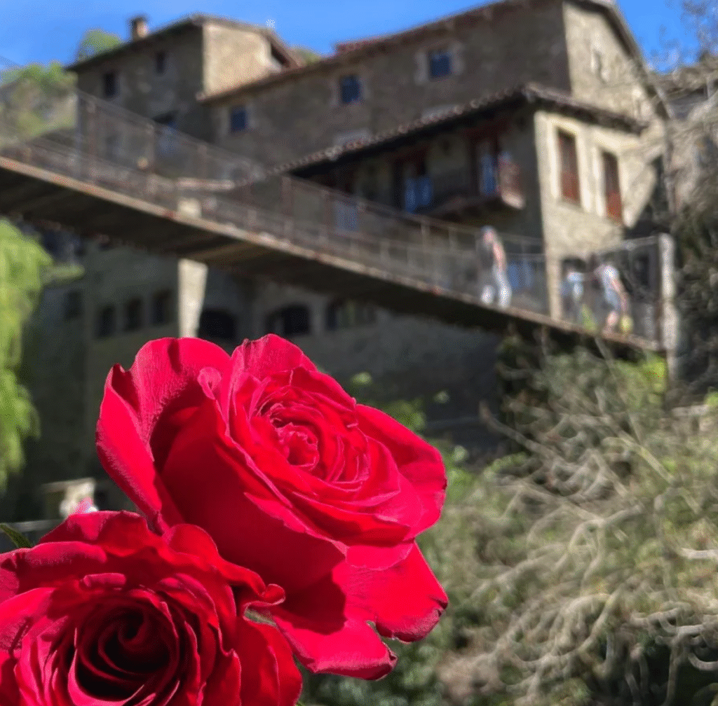 Captura de pantalla 2025 07 02 a les 13.07.04