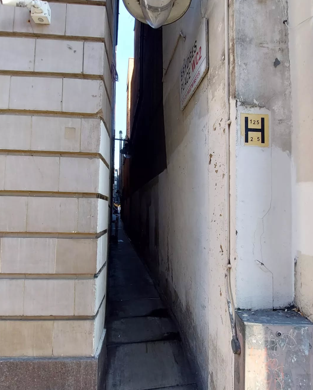 Captura de pantalla 2025-08-01 a les 16.29.40