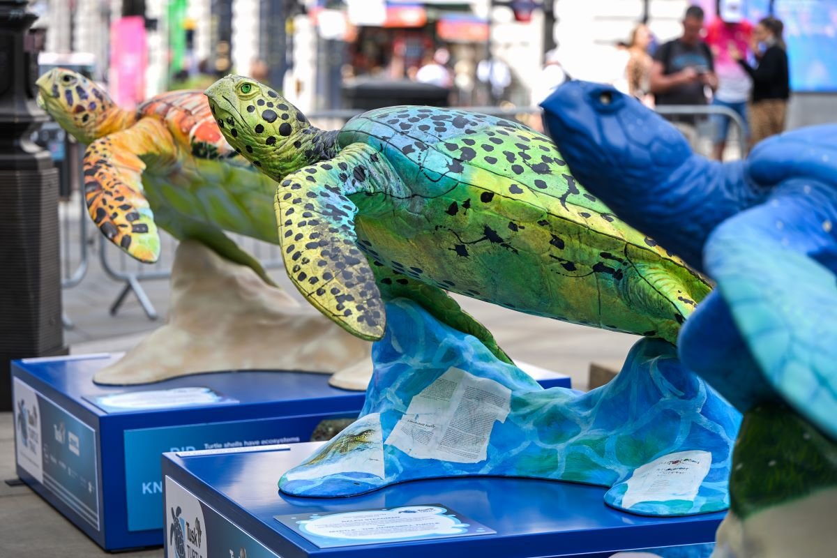 The-Tusk-Turtle-Trail-Launch_021-1200x800-1