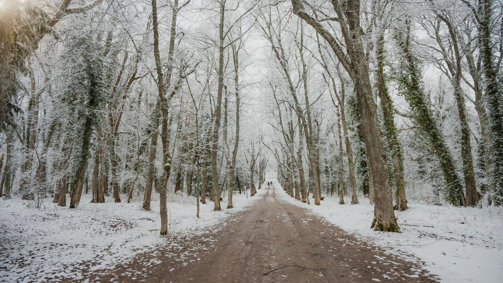 Borrasca Francis na Espanha, neve, frio extremo e riscos reais nas cidades