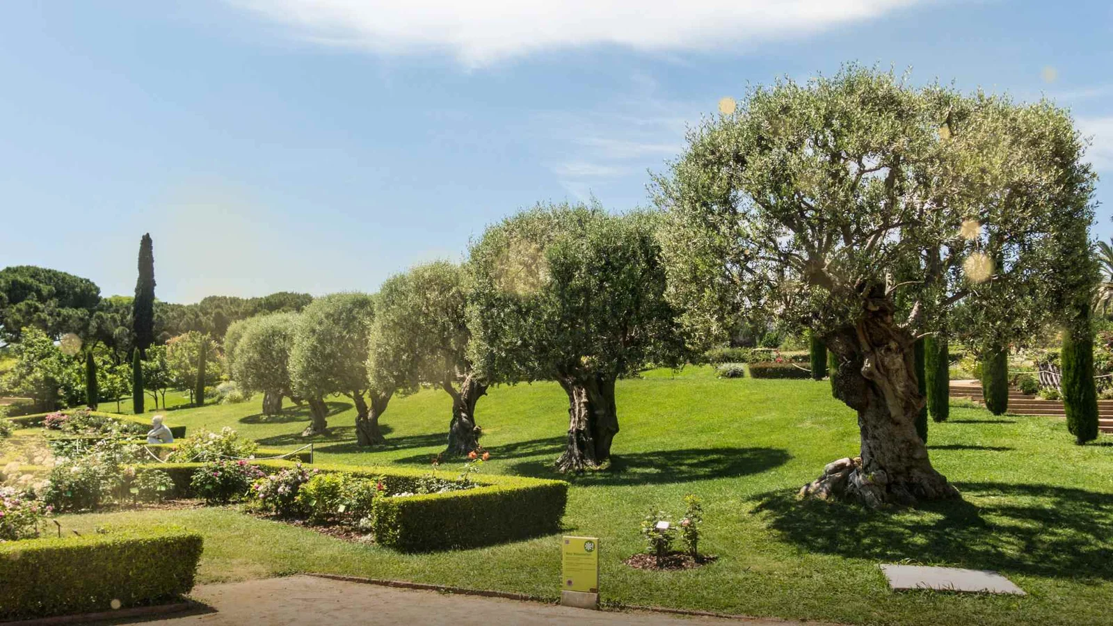 Shelldon-Botelho-viajando-pra-europa-9